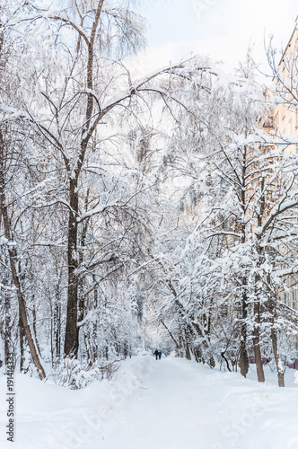 Winter in Moscow. Snow covered trees in the city. View of the inside passage after a heavy snowfall