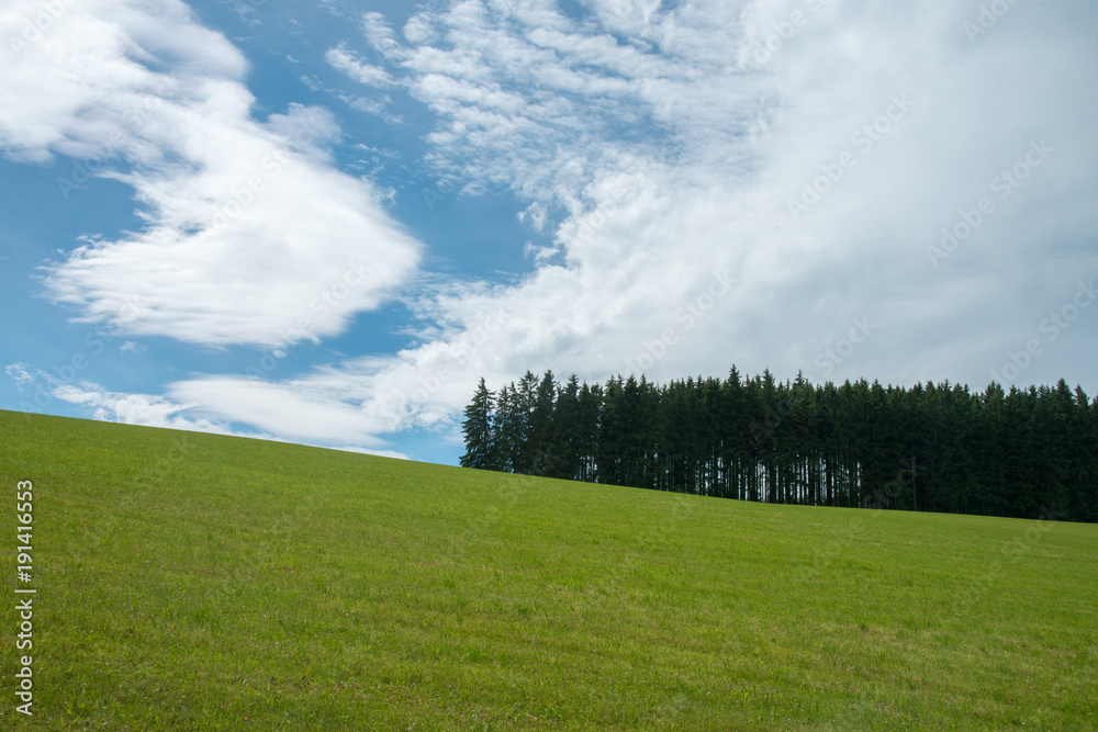 Schwarzwald mit Wolken Schwarzwald mit Wolken
