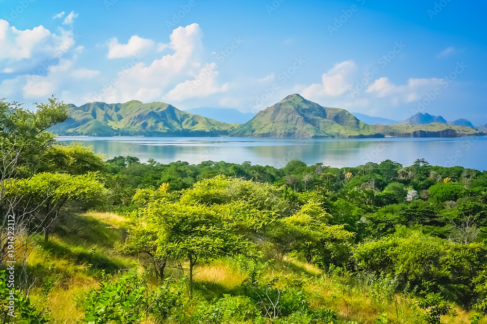 Green lush jungle mountain coastal landscape of Komodo