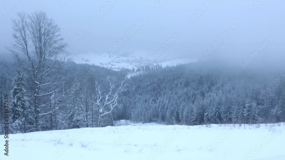 Early morning down twilight winter mountain landscape with frosting fir trees and ski sport Bukovel resort-village in far (Carpathians, Ukraine). Overcast windy bad weather with blizzard beginning.
Early morning down twilight winter mountain landscape with frosting fir trees and ski sport Bukovel resort-village in far (Carpathians, Ukraine). Overcast windy bad weather with blizzard beginning.
