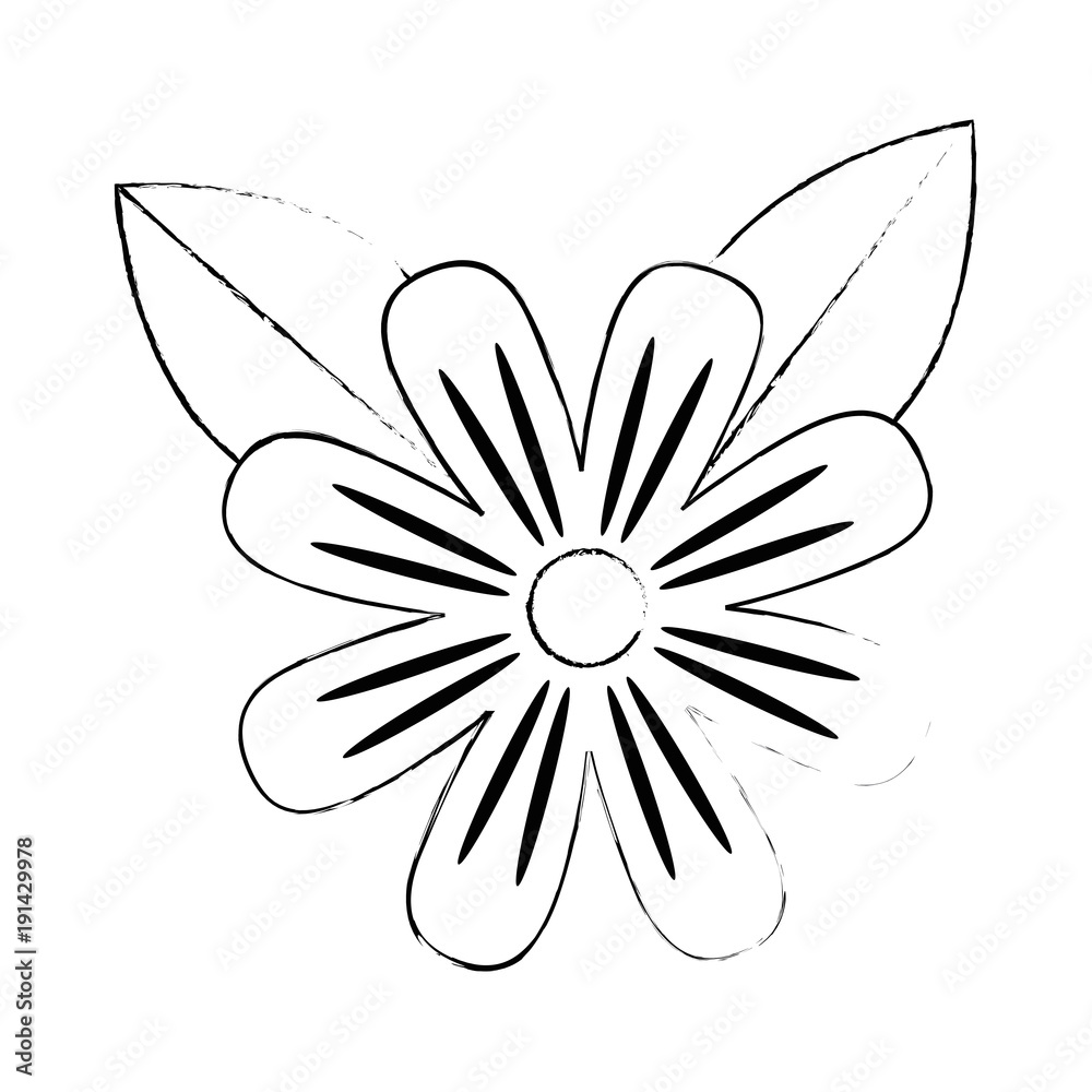 beautiful flower cultivated icon vector illustration design