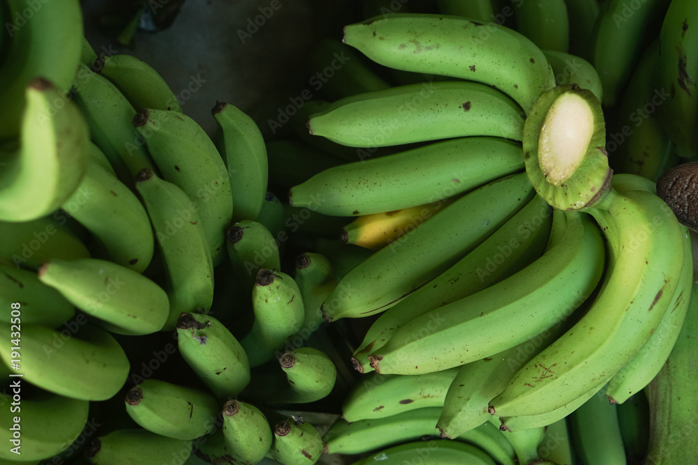 farmer bearing green banana on farm.Food business organic farm concept. farmer bearing green banana on farm.Food business organic farm concept.