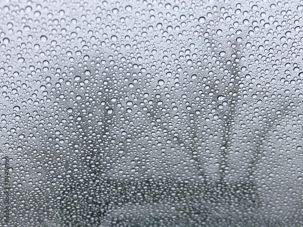 Fototapeta premium Winter Droplets