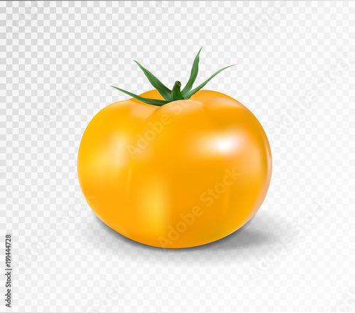 Yellow tomato. Realistic vector illustration