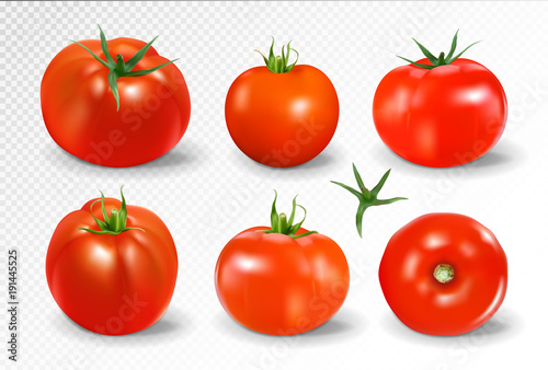 Tomato set. Yellow tomato. Photo-realistic vector tomatoes on transparent background.