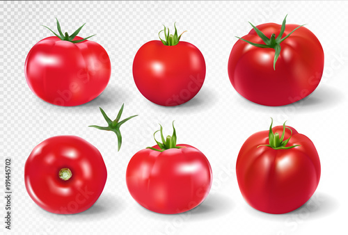 Tomato set. Pink salad tomato collection. Photo-realistic vector tomatoes on transparent background.