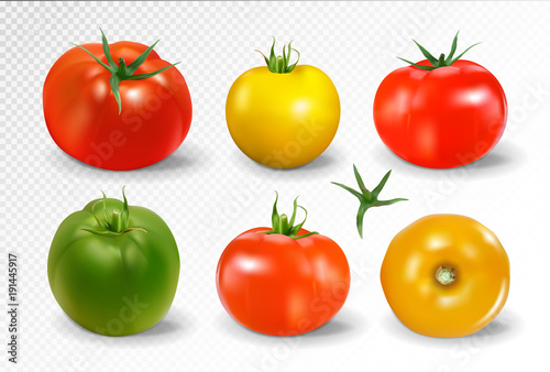 Realistic vector of 6 different colors of tomatoes on transparent background
