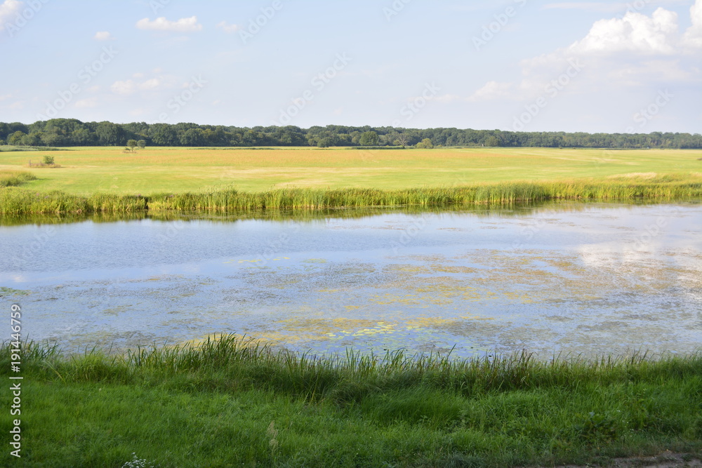 Fototapeta premium Yellow lake