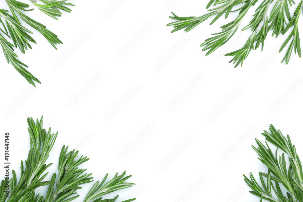 Fresh green rosemary isolated on a white background with copy space for your text. Top view. Flat lay Fresh green rosemary isolated on a white background with copy space for your text. Top view. Flat lay
