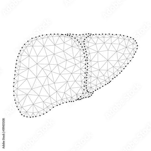 Liver polygon black-white