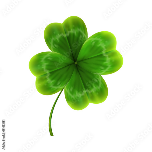 green leave of clover. realistic vector photo
