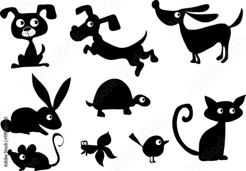 animals