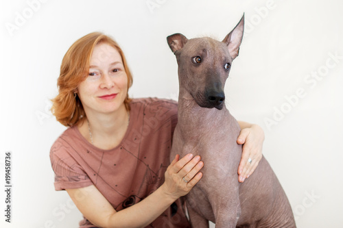 The dog looks at one another in disbelief