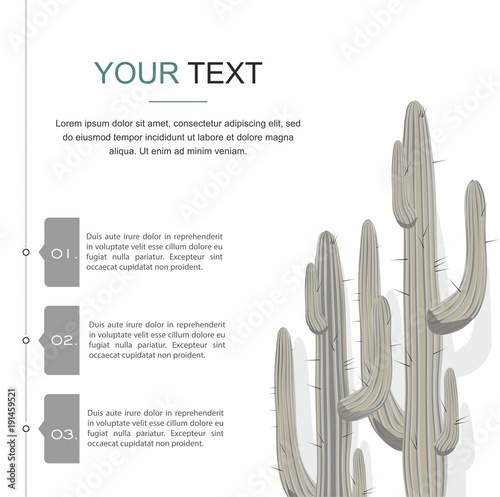Cactuses isolated on white background. Infographic Vector Illustration	