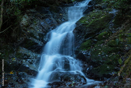 Fototapeta Naklejka Na Ścianę i Meble -  Waterfall in jungle