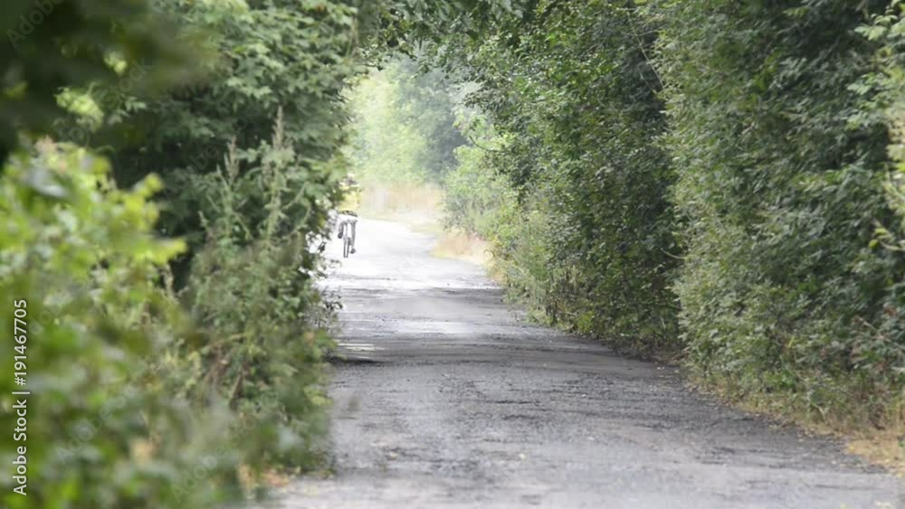 cyclist rides on a dirt road in the forest. cyclist rides on a dirt road in the forest.