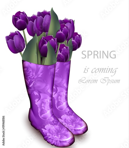 Spring background with Tulip flowers violet color and floral boots. Vector realistic illustrations