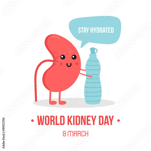 Vector illustration for world kidney day with kidney character, giving advice to stay hydrated, drink enough water.
