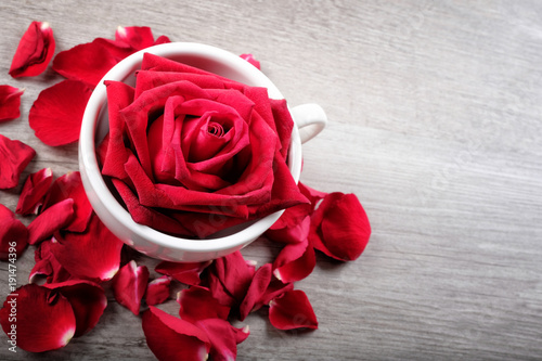 Happy Valentine s Day Concept with red roses in cup and space for text