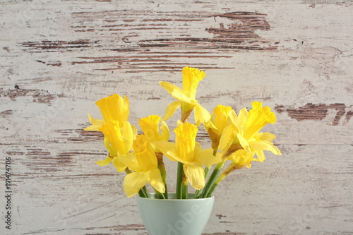Fototapeta Naklejka Na Ścianę i Meble -  Narcissus - daffodil, a species of amaryliaceous plant species.