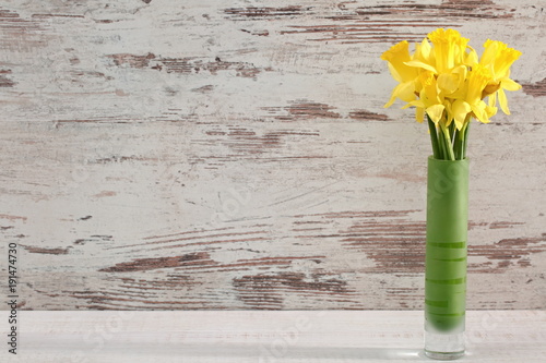 Fototapeta Naklejka Na Ścianę i Meble -  Narcissus - daffodil, a species of amaryliaceous plant species.