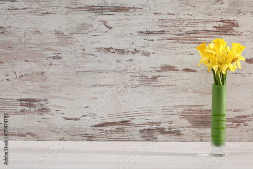 Fototapeta Naklejka Na Ścianę i Meble -  Narcissus - daffodil, a species of amaryliaceous plant species.