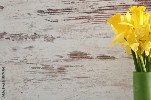 Fototapeta Naklejka Na Ścianę i Meble -  Narcissus - daffodil, a species of amaryliaceous plant species.