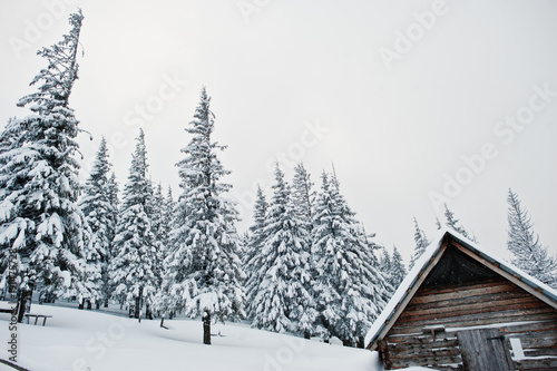 Wooden house at pine trees covered by snow on mountain Chomiak. Beautiful winter landscapes of Carpathian mountains, Ukraine. Frost nature. © AS Photo Family