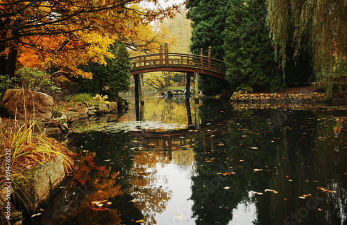Fototapeta Naklejka Na Ścianę i Meble -  Beautiful autumn park in Woclaw, Poland