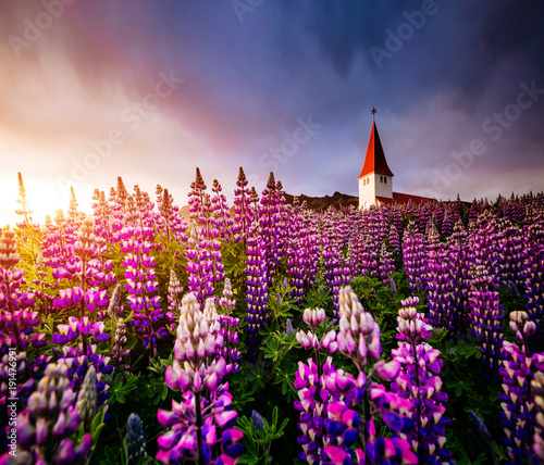 Great view of the church in evening light. Location Vik village, Iceland, Europe.