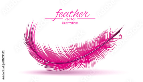 Light pink feather isolated on white background. Vector illustration
