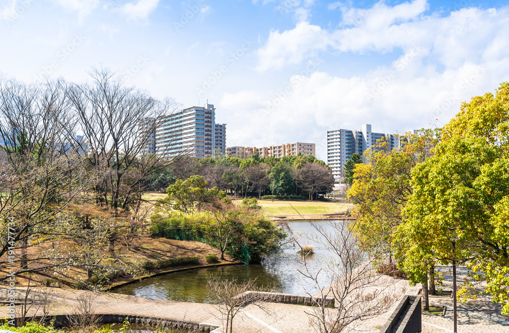 新緑に包まれる住宅街 新緑に包まれる住宅街