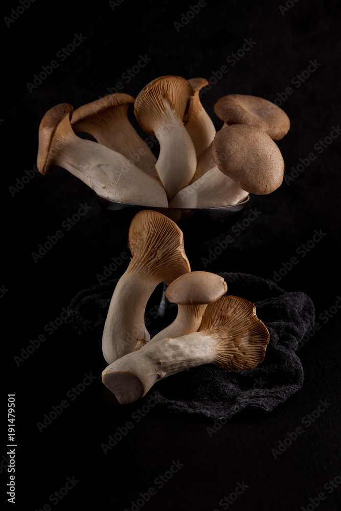 Fototapeta premium set of edible fresh mushrooms on black slate plate kitchen plate can be used as background