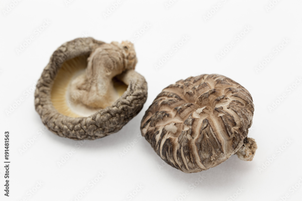 どんこ椎茸 どんこ椎茸