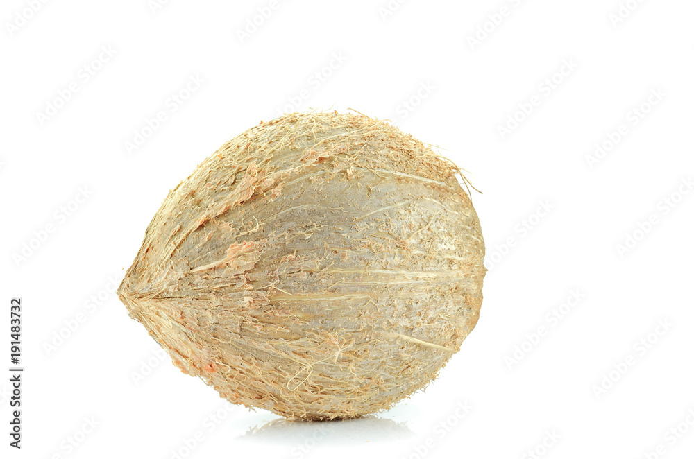 coconut on white background coconut on white background