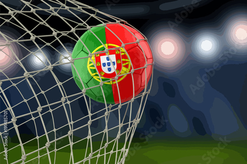 Portuguese soccerball in net