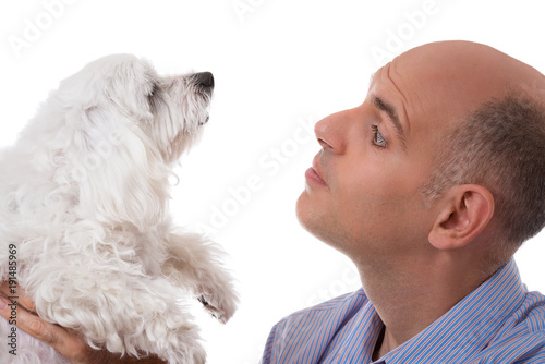 Bild auf Leinwand close up portrait in profile of man looking to maltese dog,isolated