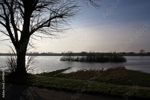 rhein bei hochwasser