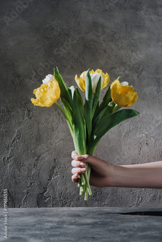 cropped view of woman holding yellow and white tulip flowers on grey surface