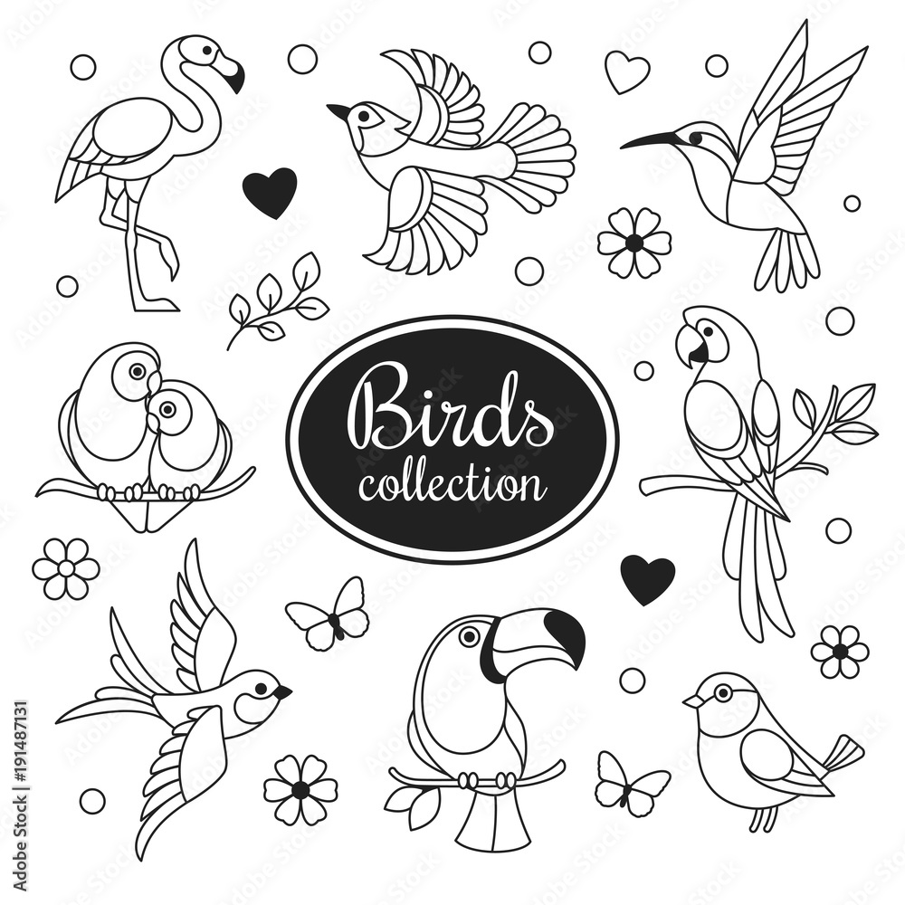 Birds icons collection. Vector collection of exotic birds outline icons, such as hummingbird, pink flamingo, parrot, toucan and swallow. Isolated on white.