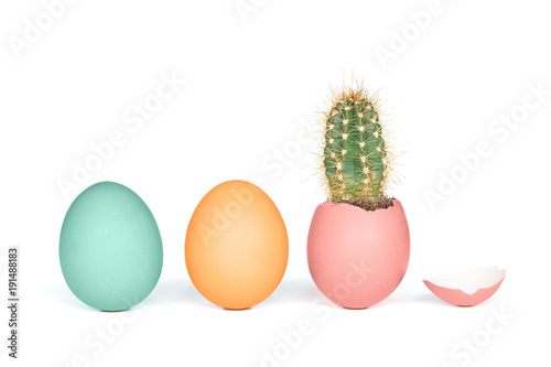 Desert style easter eggs with cactus
