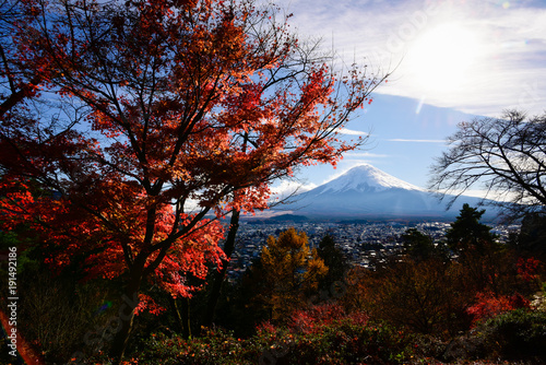 Mt. Fuji and Maple Leaves in Autumn