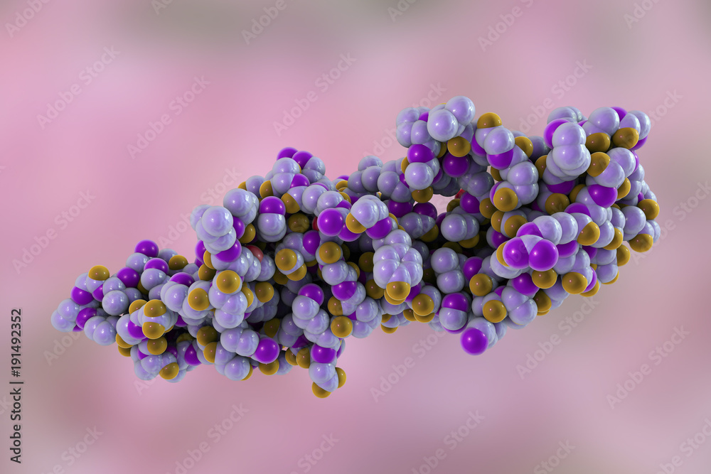 Human chorionic gonadotropin hormone, 3D illustration. A hormone