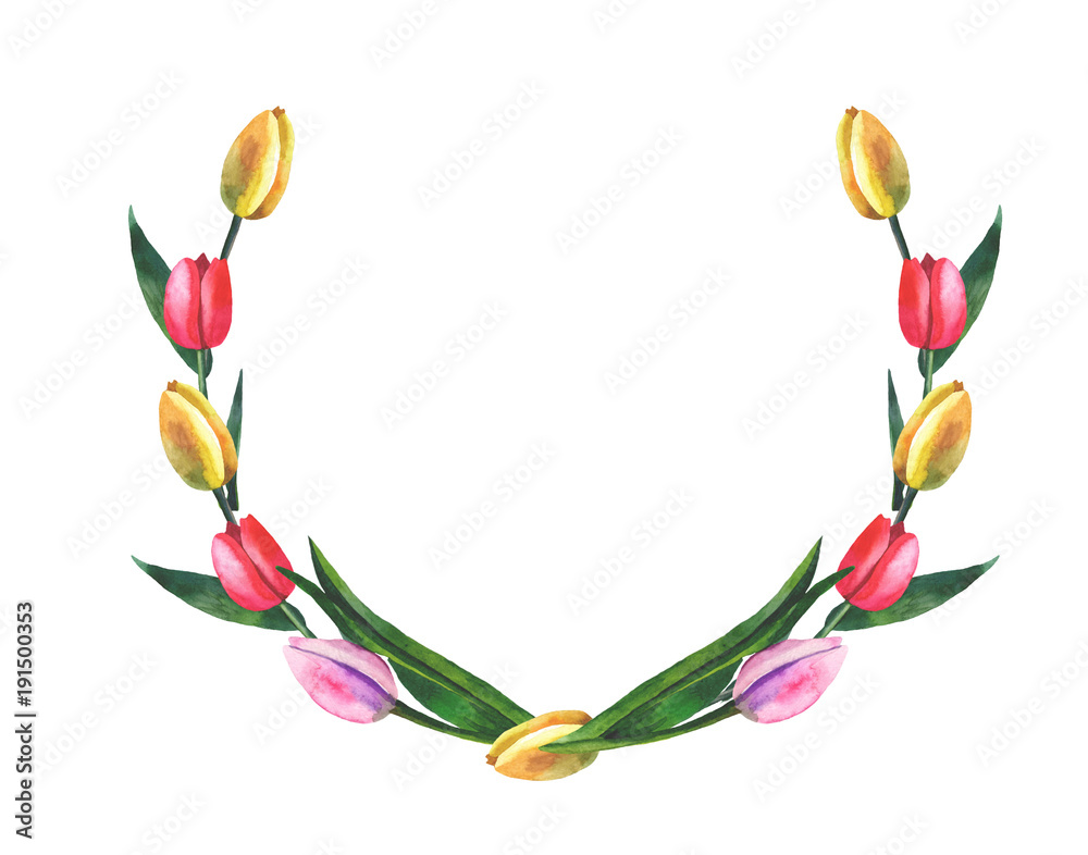 wreath of tulips on white background with watercolor