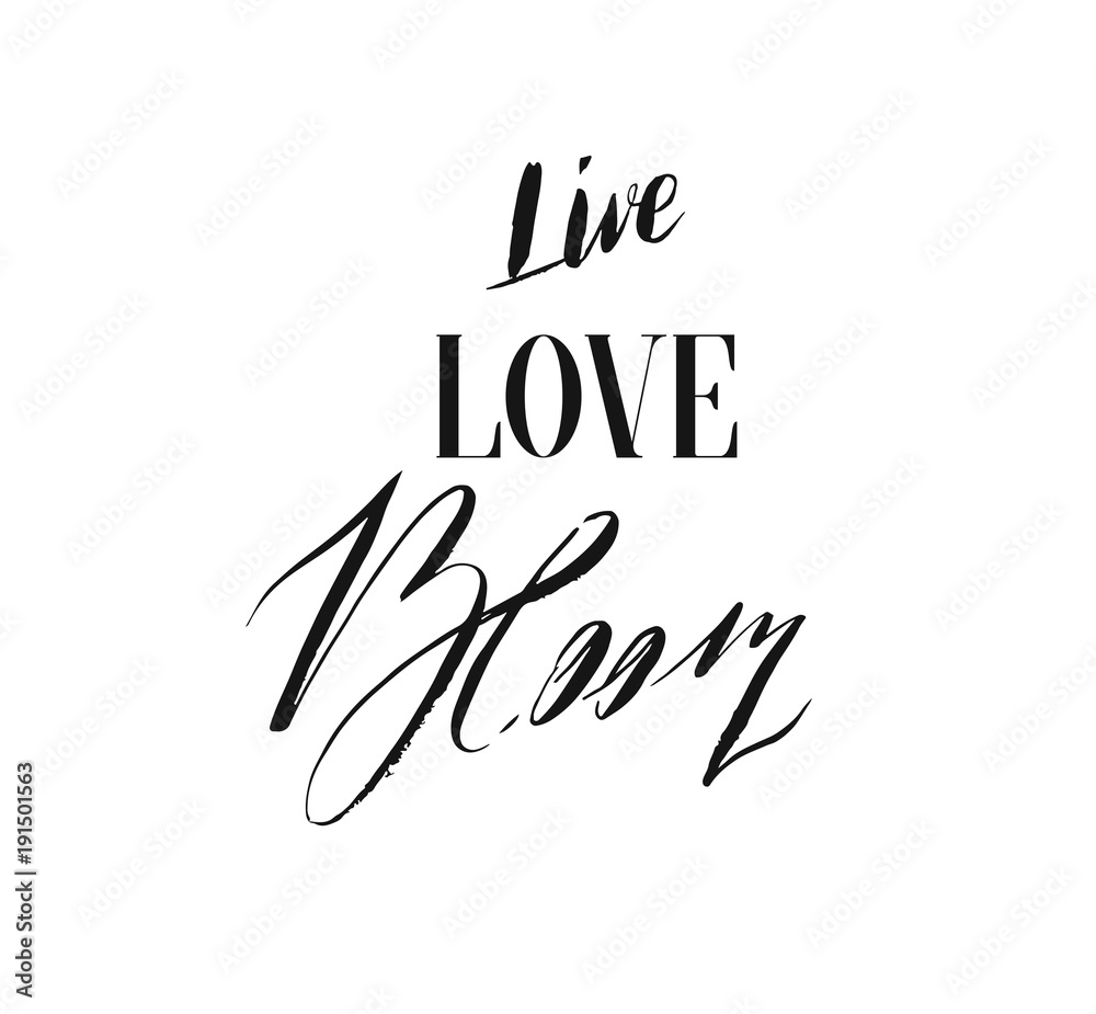 Hand drawn vector ink graphic handwritten calligraphy lettering text Live Love Bloom isolated on white background.Spring time concept