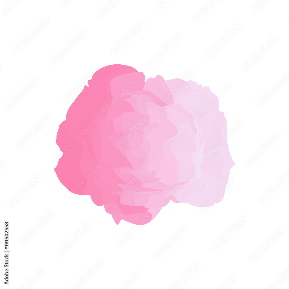 Pink rose isolated on white background. Abstract vector illustration. Object with gradient. Polygonal vector element