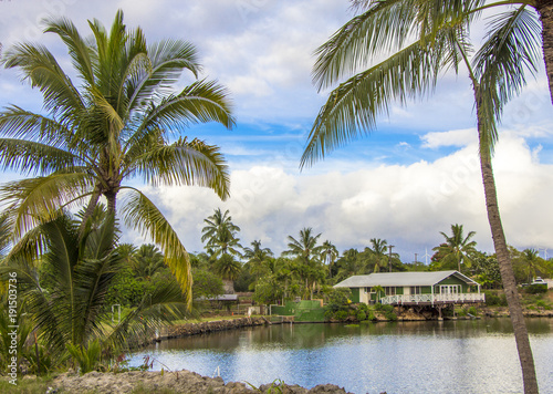 Hawaii palm trees and sky background © buraktumler