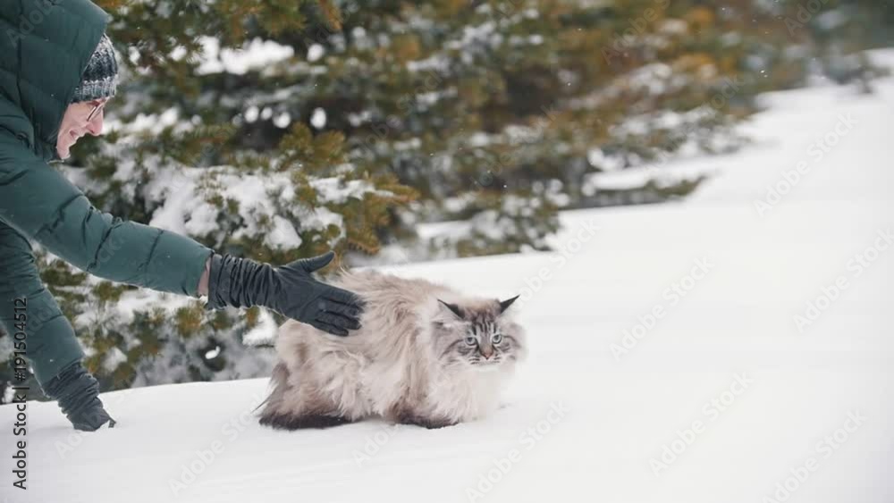 Girl in a green down jacket and glasses walks a big fluffy cat in the winter forest Girl in a green down jacket and glasses walks a big fluffy cat in the winter forest