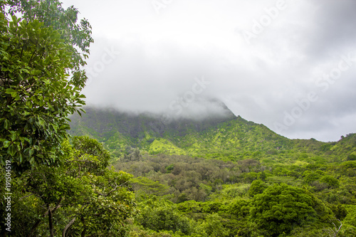 Lush tropical hills with overcast skies Maunawili Hawaii