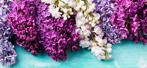 Bunch of lilac flowers on a turquoise background photo